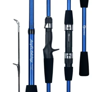 Ensemble de Canne à Pêche Télescopique